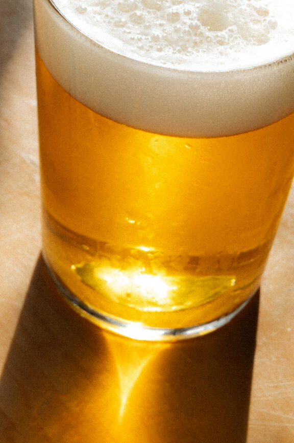 Housecat feb2026 43 house cat (american pils) - rhinegeist